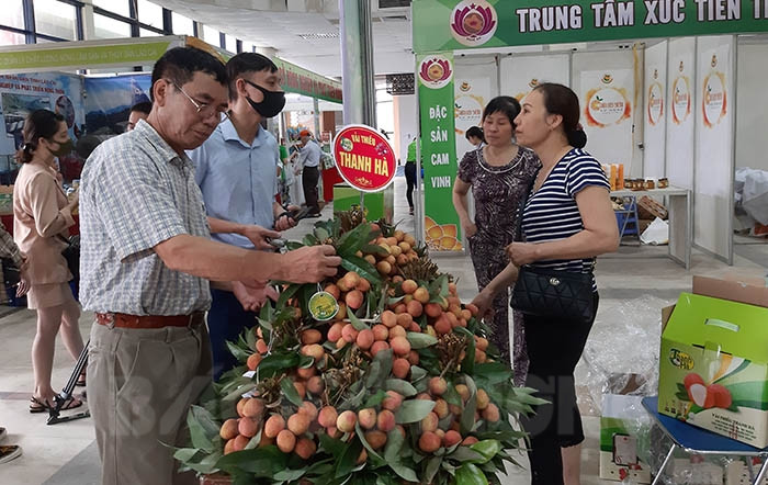 Thanh Ha lychee fair opens in Ha Noi